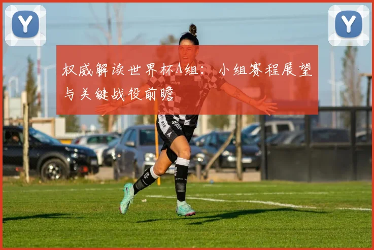 权威解读世界杯A组：小组赛程展望与关键战役前瞻