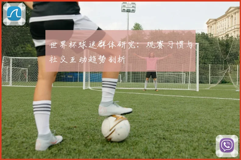 世界杯球迷群体研究：观赛习惯与社交互动趋势剖析