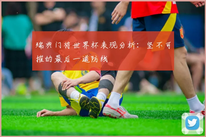 瑞典门将世界杯表现分析：坚不可摧的最后一道防线