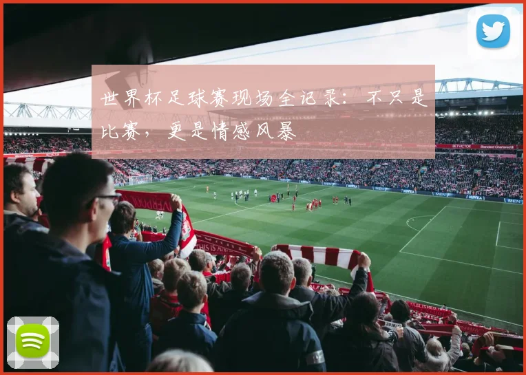 世界杯足球赛现场全记录：不只是比赛，更是情感风暴